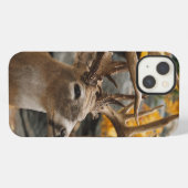 Trophy Deer iPhone Hülle (Rückseite (Horizontal))