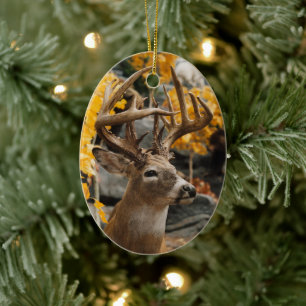 Trophy Deer Keramik Ornament