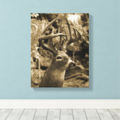 Trophy Deer Leinwanddruck (Insitu (Holzboden))