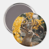 Trophy Deer Magnet (Vorderseite/Rückseite)