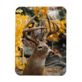 Trophy Deer Magnet (Vertikal)