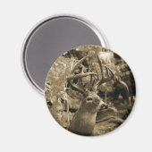 Trophy Deer Magnet (Vorderseite/Rückseite)