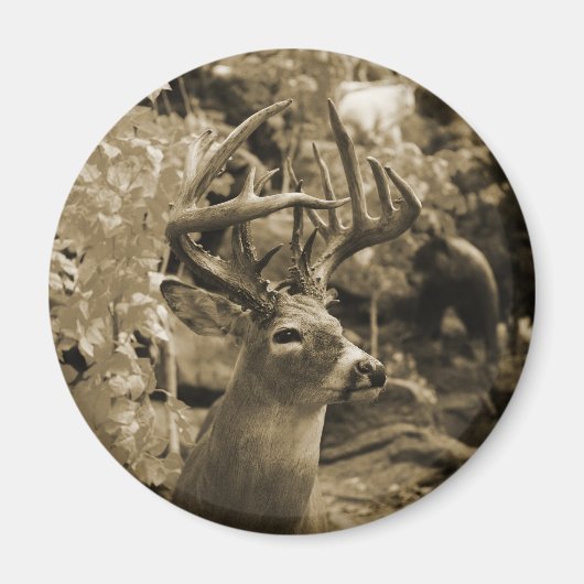 Trophy Deer Magnet (Vorne)