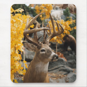 Trophy Deer Mousepad