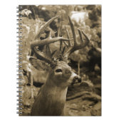 Trophy Deer Notizblock (Vorderseite)