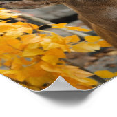 Trophy Deer Poster (Ecke)