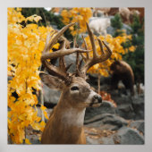 Trophy Deer Poster (Vorne)