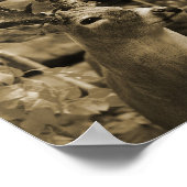 Trophy Deer Poster (Ecke)