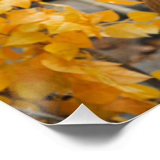 Trophy Deer Poster (Ecke)