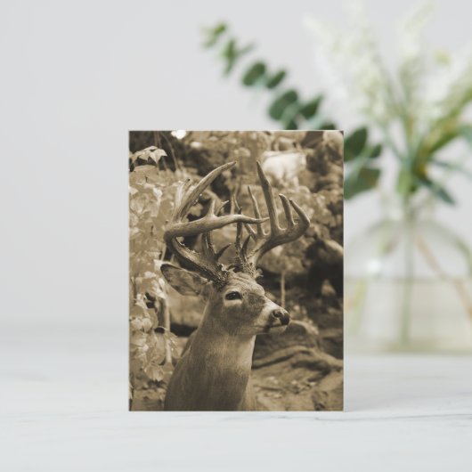 Trophy Deer Postkarte (Stehend Vorderseite)