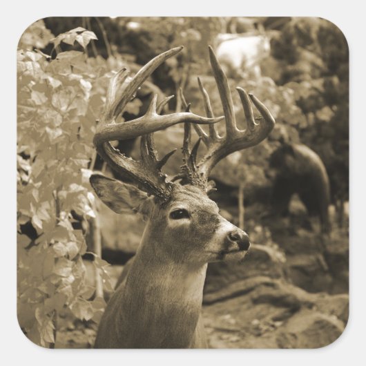 Trophy Deer Quadratischer Aufkleber (Vorderseite)