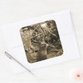 Trophy Deer Quadratischer Aufkleber (Umschlag)
