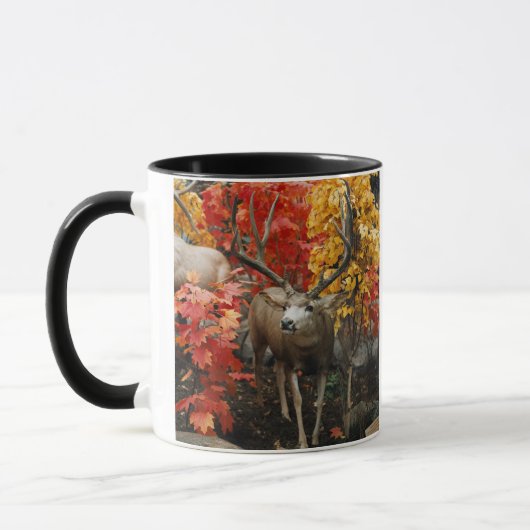 Trophy Deer Tasse (Links)