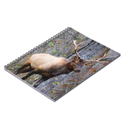 Trophy Elk Notebook Notizblock (Linke Seite)