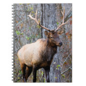 Trophy Elk Notebook Notizblock (Vorderseite)