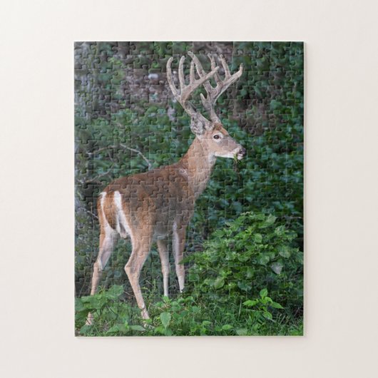 Trophy Whitetail Deer Buck in Velvet Puzzle (Vertikal)