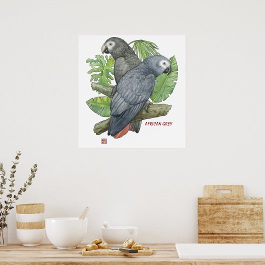 Tropical African Greys Print Poster (Küche)