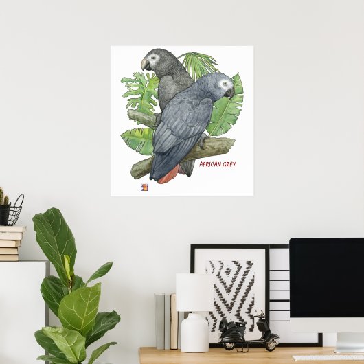 Tropical African Greys Print Poster (Heimbüro)