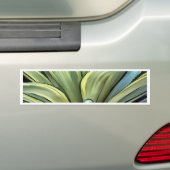Tropical Agave Art Autoaufkleber (Auf Auto)