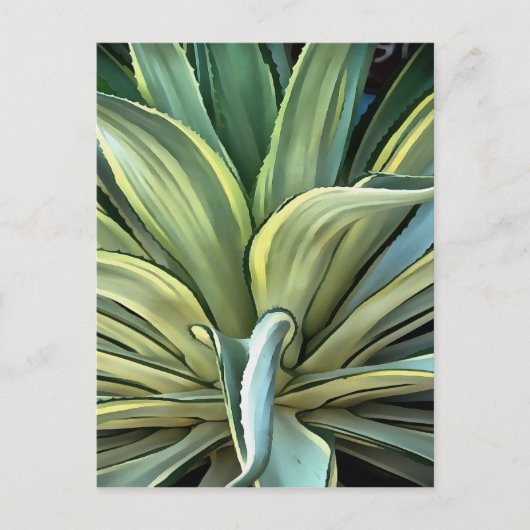 Tropical Agave Art Postkarte (Vorderseite)