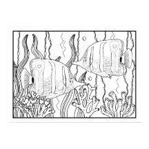 Tropical Aquarium Fish DIY Coloring Poster