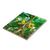 Tropical Banana Palm Tree St Augustine Florida Fliese (Seite)