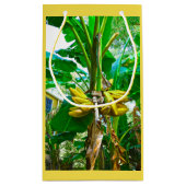 Tropical Banana Palm Tree St Augustine Florida Kleine Geschenktüte (Rückseite)