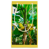 Tropical Banana Palm Tree St Augustine Florida Kleine Geschenktüte (Vorderseite)