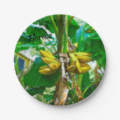 Tropical Banana Palm Tree St Augustine Florida Pappteller (Vorderseite)