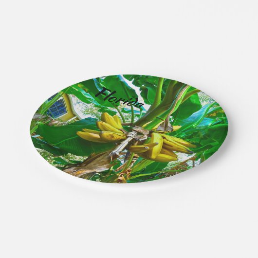 Tropical Banana Palm Tree St Augustine Florida Pappteller (Schrägansicht)