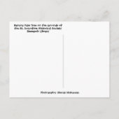 Tropical Banana Palm Tree St Augustine Florida Postkarte (Rückseite)