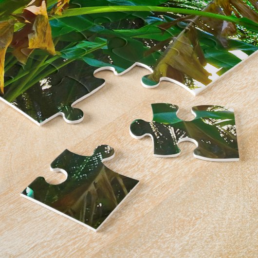 Tropical Banana Palm Tree St Augustine Florida Puzzle (Seite)