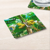 Tropical Banana Palm Tree St Augustine Florida Rechteckiger Pappuntersetzer (angewinkelt)