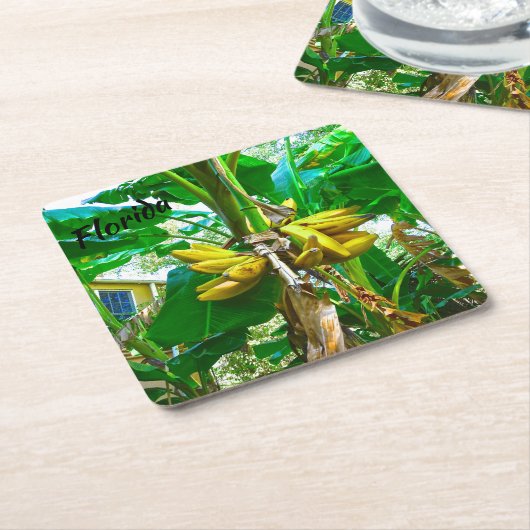 Tropical Banana Palm Tree St Augustine Florida Rechteckiger Pappuntersetzer (angewinkelt)