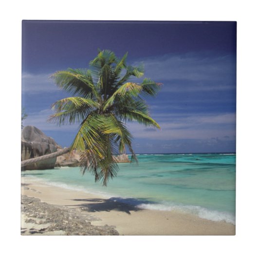 Tropical Beach, Anse Sourcing D'Argent, La Digue Fliese (Vorderseite)