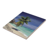 Tropical Beach, Anse Sourcing D'Argent, La Digue Fliese (Seite)