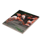 Tropical Beach Birds Destination Flamingos Fliese (Seite)