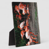 Tropical Beach Birds Destination Flamingos Fotoplatte (Seite)