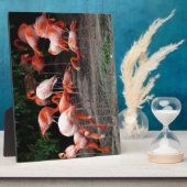Tropical Beach Birds Destination Flamingos Fotoplatte (Seite)