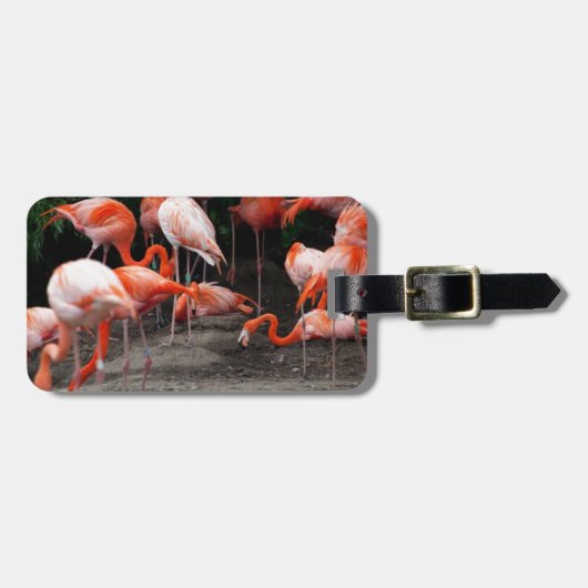 Tropical Beach Birds Destination Flamingos Gepäckanhänger (Vorderseite horizontal)
