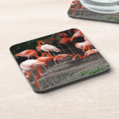 Tropical Beach Birds Destination Flamingos Getränkeuntersetzer (Linke Seite)
