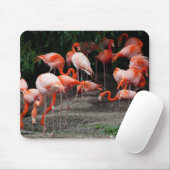 Tropical Beach Birds Destination Flamingos Mousepad (Mit Mouse)