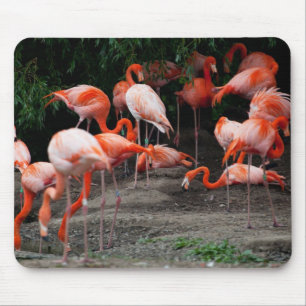 Tropical Beach Birds Destination Flamingos Mousepad