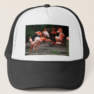 Tropical Beach Birds Destination Flamingos Truckerkappe
