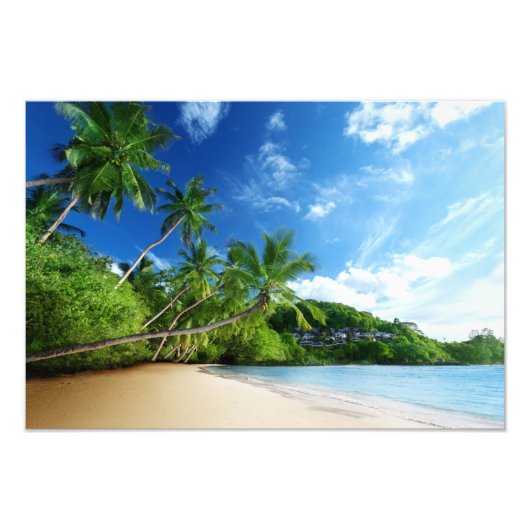 Tropical Beach Foto Print (Vorne)