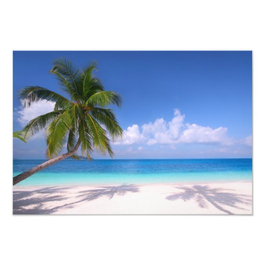 Tropical Beach Foto Print (Vorne)