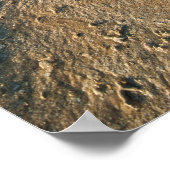 Tropical Beach Landschaft, Fidschi Poster (Ecke)