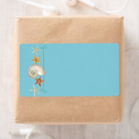 Tropical Beach Muscheln Starfish Nautilus Summer (Insitu)