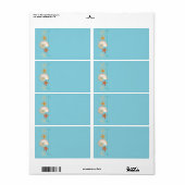 Tropical Beach Muscheln Starfish Nautilus Summer (Vorne)