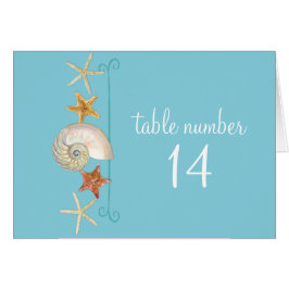 Tropical Beach Muscheln Starfish Nautilus Summer